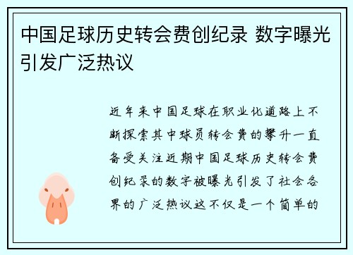 中国足球历史转会费创纪录 数字曝光引发广泛热议